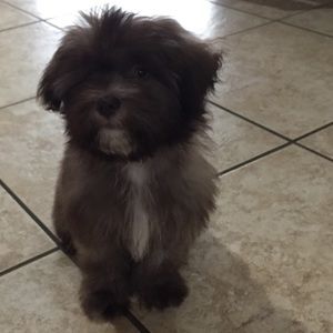 Meet your Posher, Heather